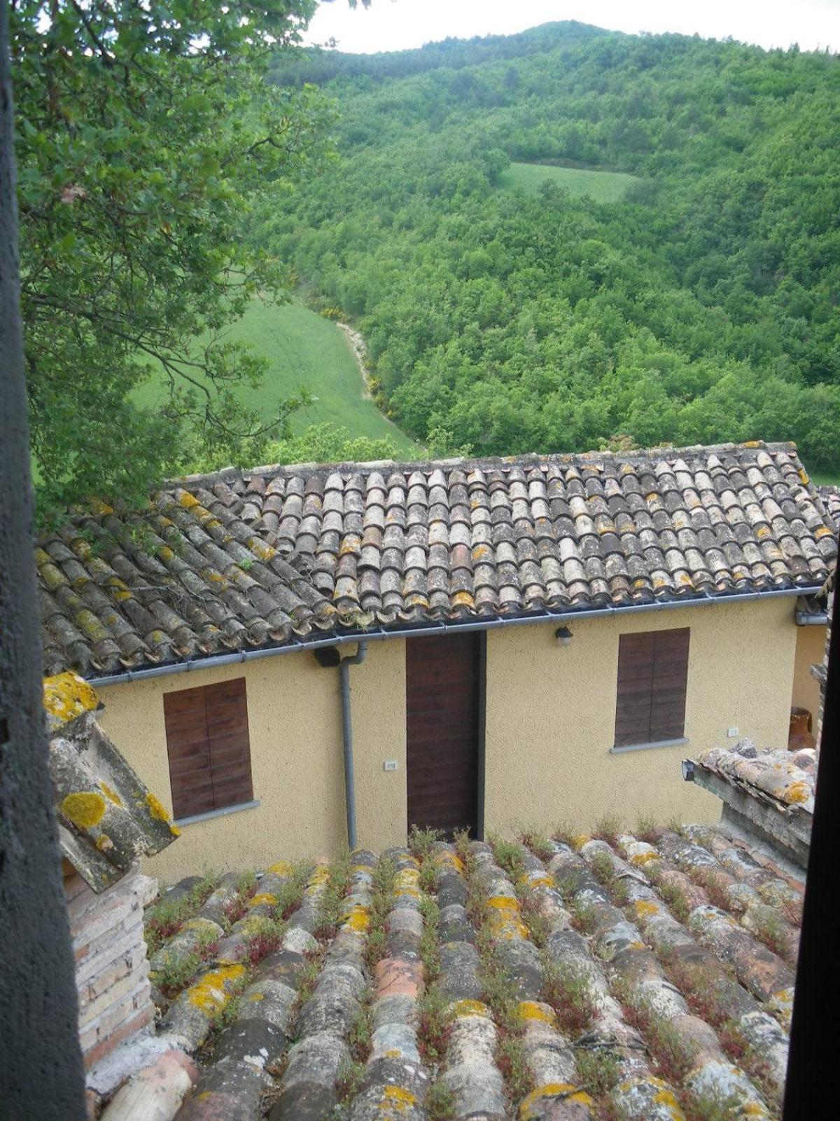 Farm stay Agriturismo Orsaiola
