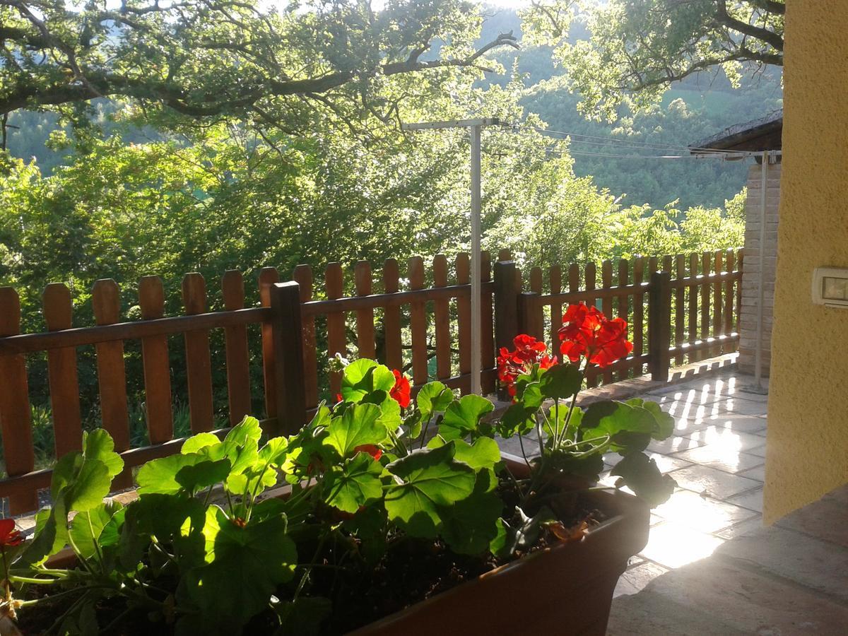 Farm stay Agriturismo Orsaiola